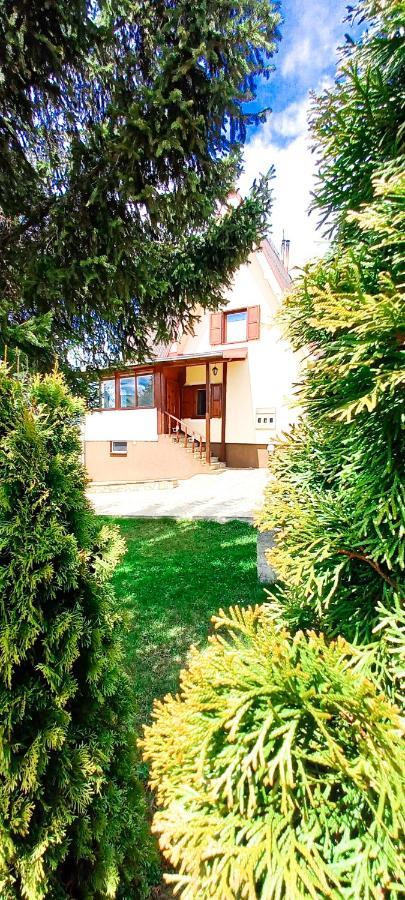 Apartment Relja Zlatibor Luaran gambar